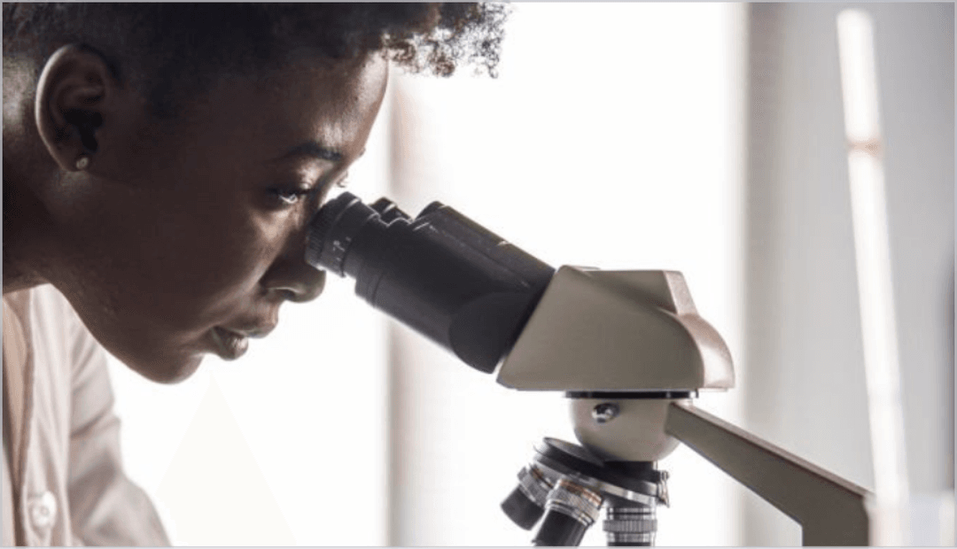 Innovation & Research Highlights